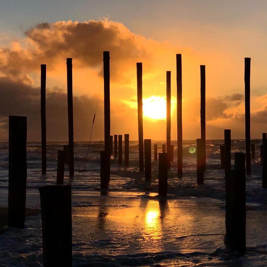 Strandhuis De Zeeparel Met Hottub Petten Eksteriør billede